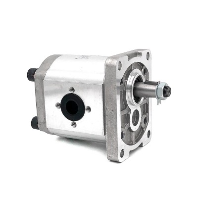 Gear pump BTD2100D02