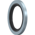 BSP  Bonded Seal