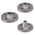 Fixed Forged flanges