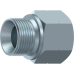 Adaptor BSP male (60º) - NPT fixed female A107404