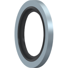 BSP  Bonded Seal T21002