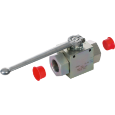 2 Ways ball valve BSP female with holes BV2W1/2