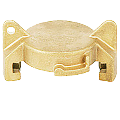 EXPRESS brass- Cap BREX04