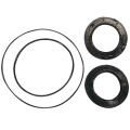Kit Gaskets Pump BPT Pistons
