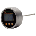 Digital back thermometer 1/2 ''BSP