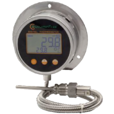 Capillary digital thermometer rear flange 1/2 ''BSP TD100CAPT12