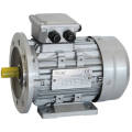 Electric motors Electric motors