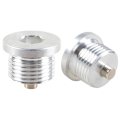 Allen magnetic plug