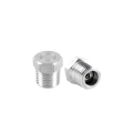 Breather plug with valve