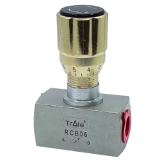 Bidirectional flow restrictor valve RCB04