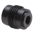 Check-valve insert version