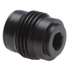 Check-valve insert version FPRI 1/2