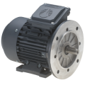 Electric motors high torque single-phase with flange and legs (B3B5)