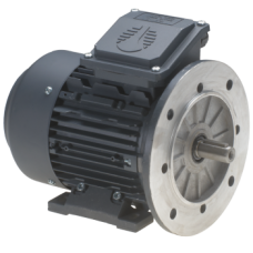 Electric motors high torque single-phase with flange and legs (B3B5) MEMAP0.33B3B5 Electric motors high torque single-phase with flange and legs (B3B5) MEMAP0.33B3B5