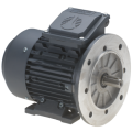 Electric motors standard torque single-phase with flange and legs (B3B5)