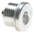 Magnetic plug