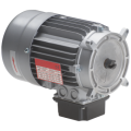 Alternative current motor