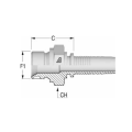 Stainless steel BSPP hose inserts