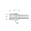 Stainless steel BSPT hose inserts