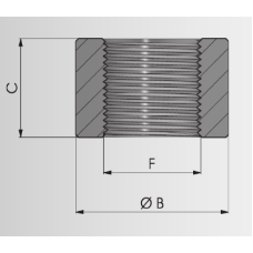 Naldoni e Biondi NBBORSGI1 stainless steel cylinder port boss