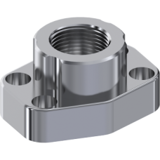 Stainless Steel BSP Female threaded flange ZBBRG30808