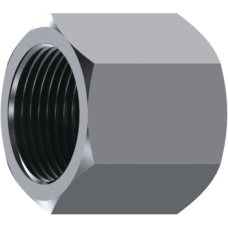 Stainless Steel BSP fixed female plug Z107204