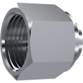 Stainless Steel ORFS cap