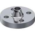 Fixed forged flanges